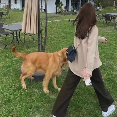 永远的一天